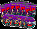 Thumbnail PLR For Newbies-Make Money Fast